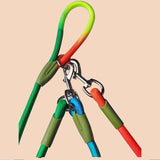 Hands Free Colorful Dog Leash