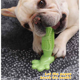 Teeth cleaning and chew toy for dogs