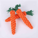 Carrot Shape Dog Chew Toys