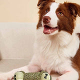 Cotton Rope Braided Pet Chew Toy